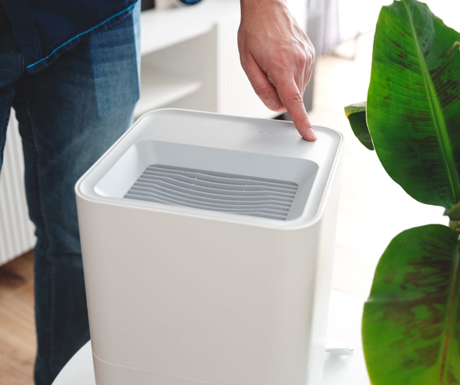 Homeowner turning on their humidifier with green plant standing next to it